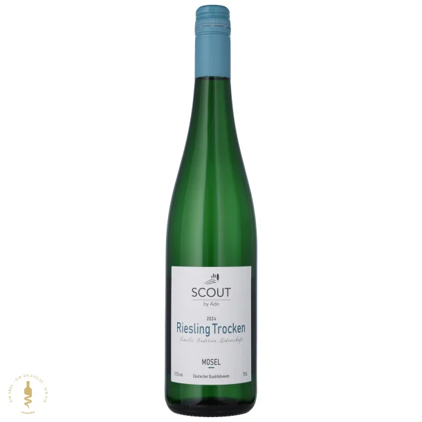 Riesling Trocken, 2024 - Scout by Ado