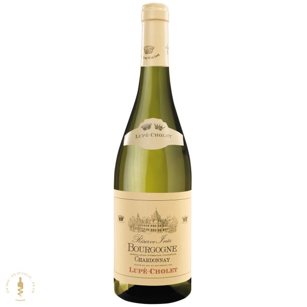Bourgogne Blanc - Rserve Ins, 2022 - Lup-Cholet