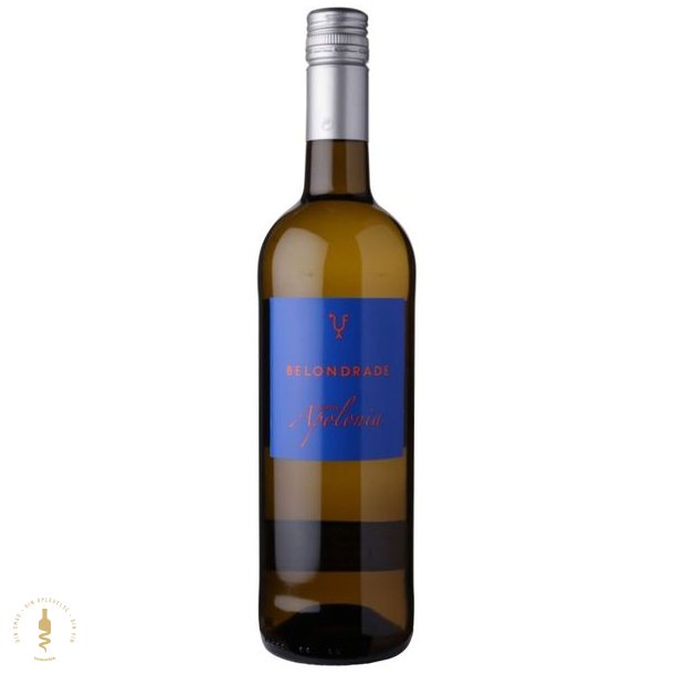 Quinta Apolonia Verdejo, 2024 - Belondrade