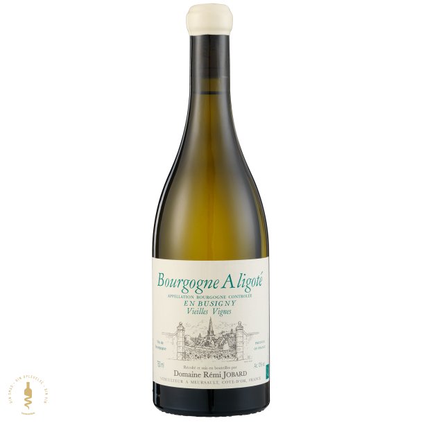 Bourgogne Aligote, 2023 - Domaine Remi Jobard