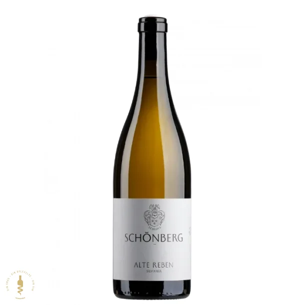 Chardonnay 2023 - Schloss Schnberg