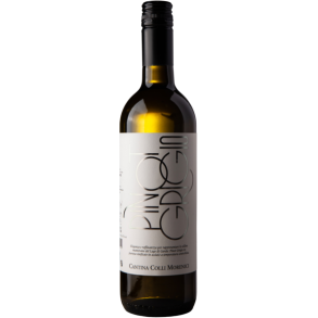 Pinot Grigio, D.O.C. - Cantina Colli Morenici - Veneto, Italien