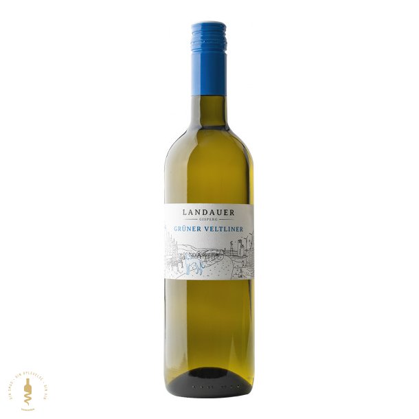 Grner Veltliner, 2023 - Landauer Gisperg - Thermenregion
