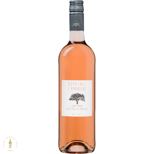 Cuve Marie Ros, 2024 - Domaine de l'Amandine