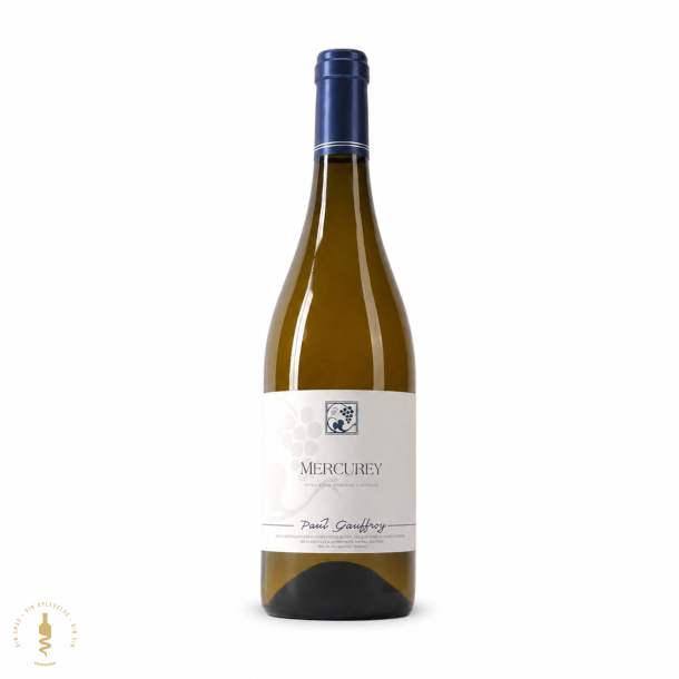 Mercurey Blanc, 2023 - Paul Gauffroy 