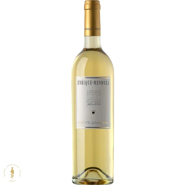 Moscatel de la Marina, 2024 - Enrique Mendoza - Alicante, Spanien