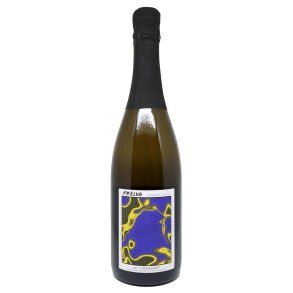 Crmant de Loire, NV - Domaine Payen