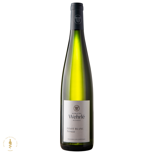 Pinot Blanc Terrasse, 2024 - Domaine Wehrle - Alsace, Frankrig
