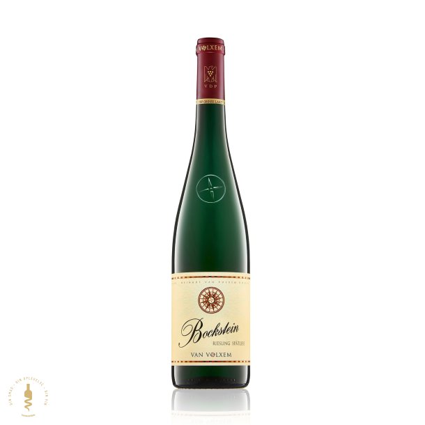 Bockstein Riesling Sptlese, 2023 - Van Volxem