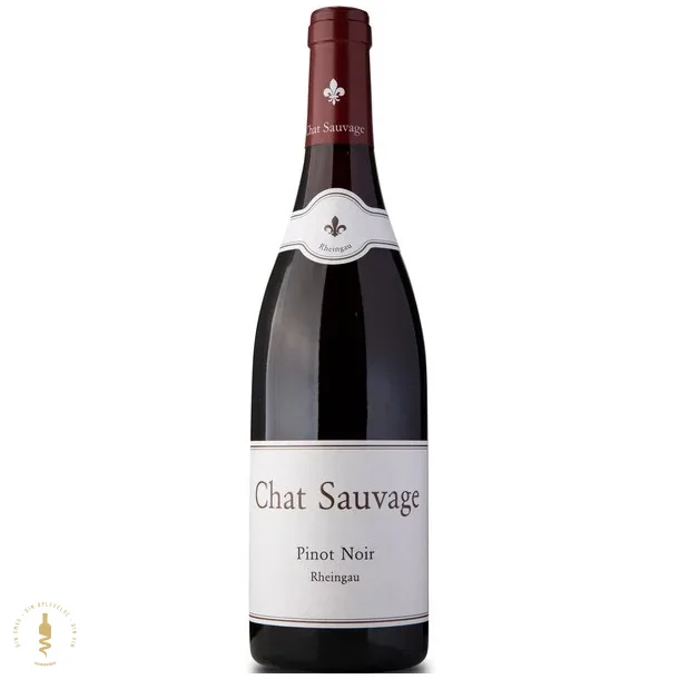 Pinot Noir, Gutswein - 2019 - Chat Sauvage - Rheingau, Tyskland