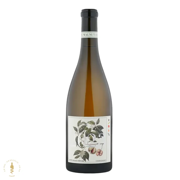 White Walnut Vineyard, 2023 - White Walnut