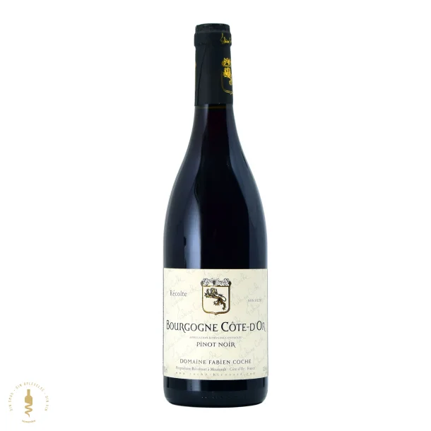 Bourgogne Rouge Cote d'Or, 2022 - Fabien Coche