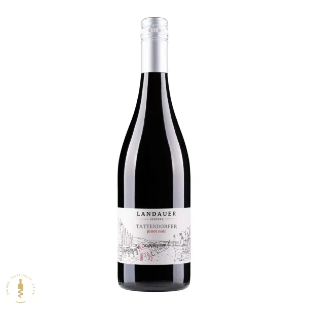 Pinot Noir 'Tattendorf' 2022 - Landauer Gisperg