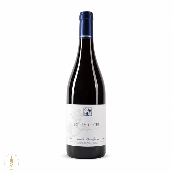 Rully 1. Cru Rouge, 2023 - Paul Gauffroy 