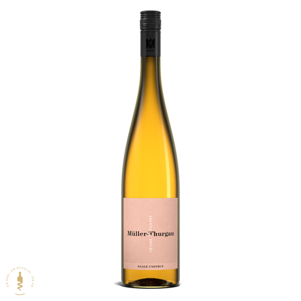 M�ller-Thurgau, 2024 - B�hme und T�chter 