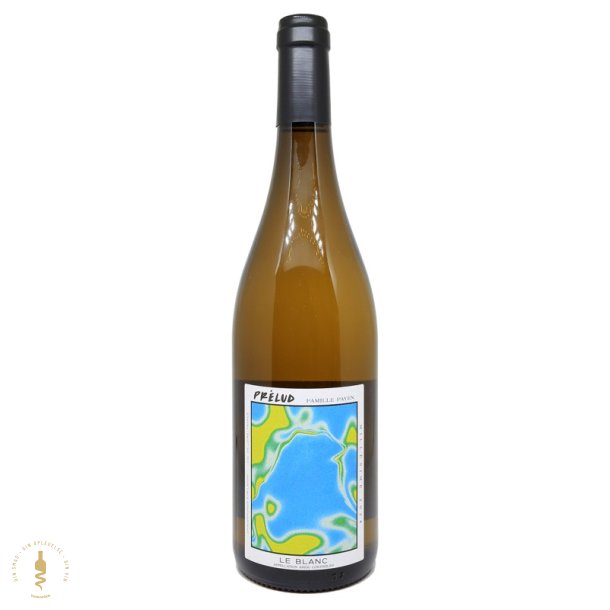 Chenin Blanc Anjou, 2024 - Domaine Payen - Loire