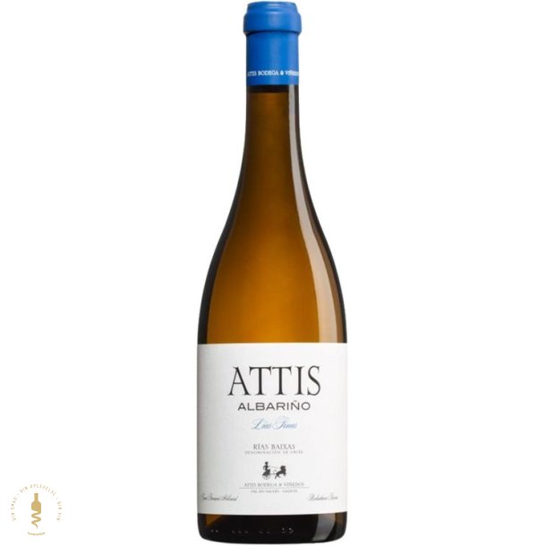 Albario Las Finas, 2023 - Attis