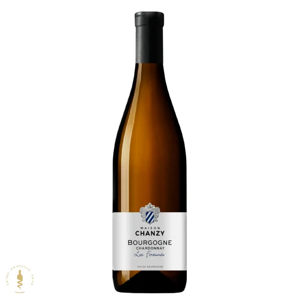 Bourgogne Chardonnay Les Fortuns, 2023 - Domaine Chanzy