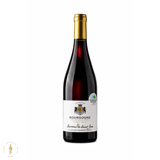 Bourgogne Pinot Noir Baronne de St Jean - 2023 - Cave d'Az� - Bourgogne, Frankrig
