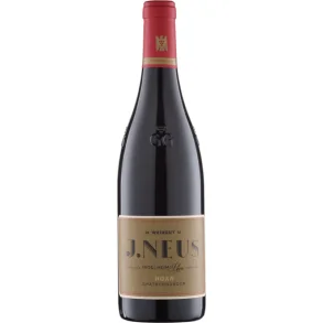 Sptburgunder GG Horn 2021 - Weingut J. Neus