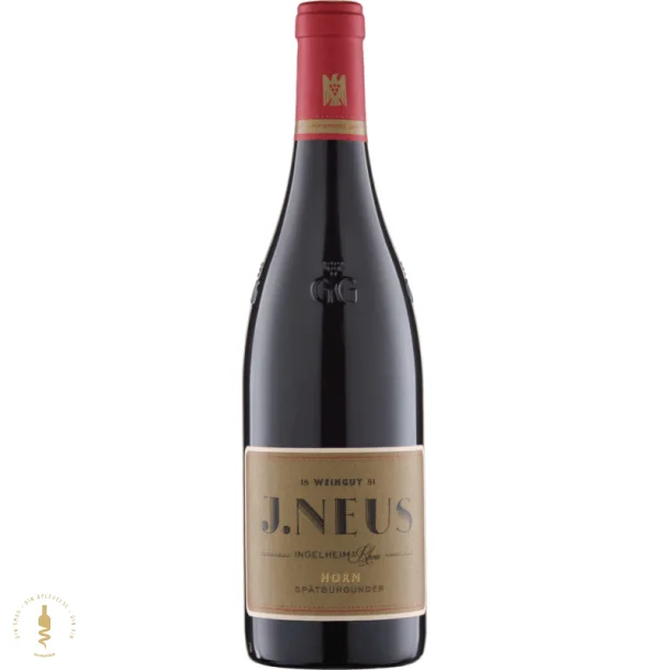 Sptburgunder GG Horn 2021 - Weingut J. Neus