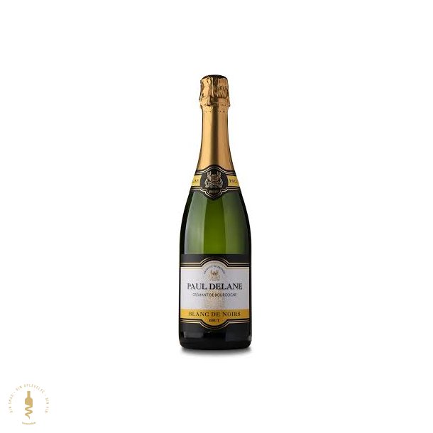 Cremant de Bourgogne, NV - Paul Delane - Bourgogne, Frankrig
