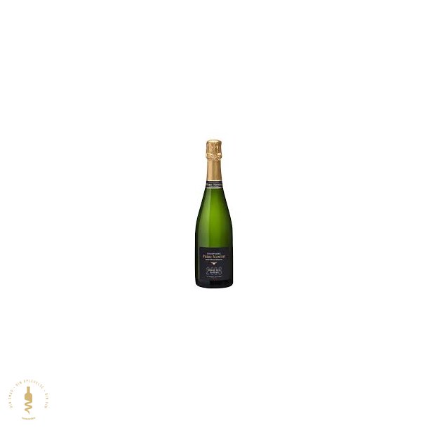 Blanc de Blancs Millesime Brut Grand Cru 'Le Mesnil-sur-oger' 2008 - Pierre Moncuit