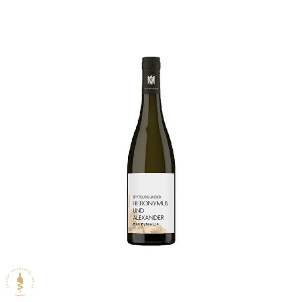 Sp�tburgunder Trocken 'Hieronymus und Alexander' 2023 - Weingut Rappenhof - Rheinhessen