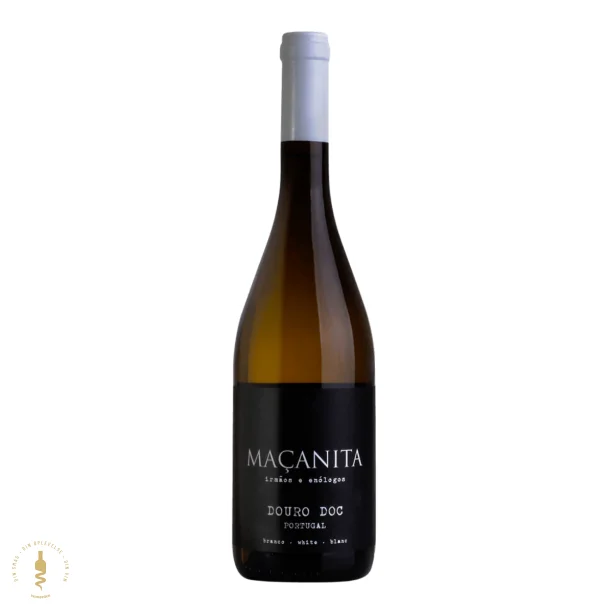 Macanita Branco, 2023 - Maanita