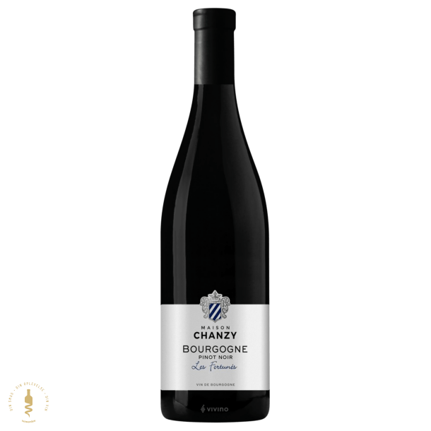 Bourgogne Pinot Noir Les Fortuns, 2022 - Domaine Chanzy