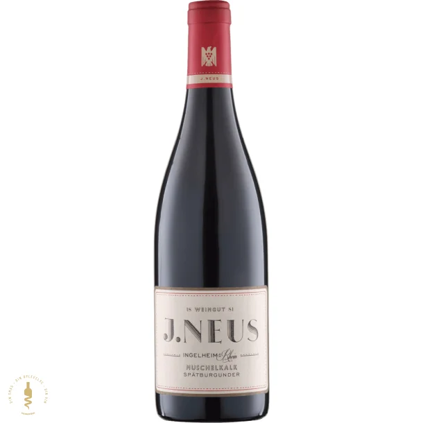 Muschelkalk, 2022 - Weingut J. Neus