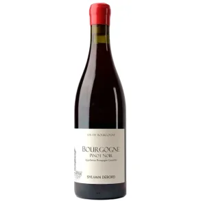 Bourgogne Pinot Noir, 2023 - Sylvain Debord