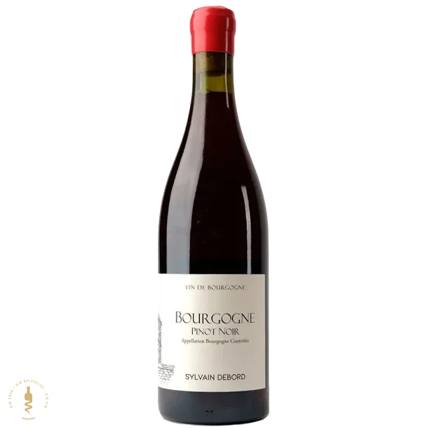 Bourgogne Pinot Noir, 2023 - Sylvain Debord